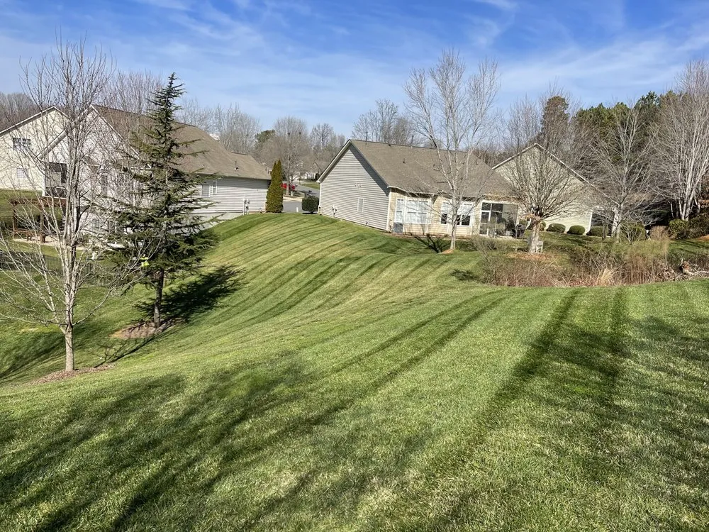 Custom residential landscaping in Rock Hill, SC by Stripes And Diamonds