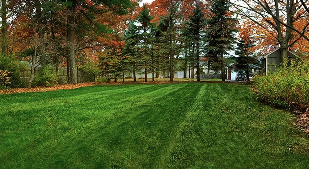 Trusted residential landscaping experts serving Knoxville, TN - Stripes and Stars Landscaping