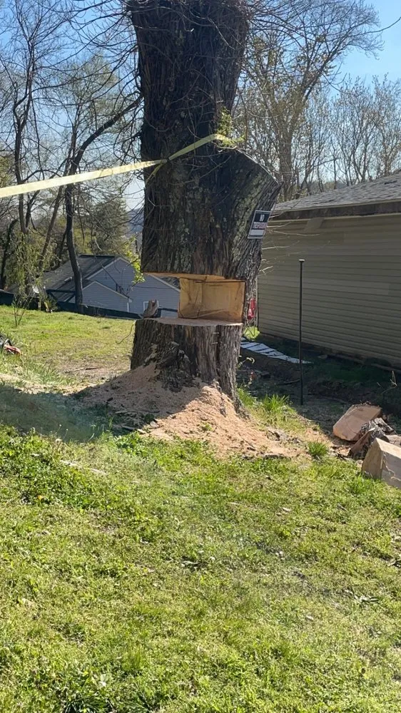 Reliable landscaping services in Knoxville, TN by Stripes and Stars Landscaping