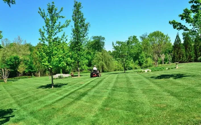 Local lawn mowing service for beautiful yards in Knoxville, TN by Stripes and Stars Landscaping