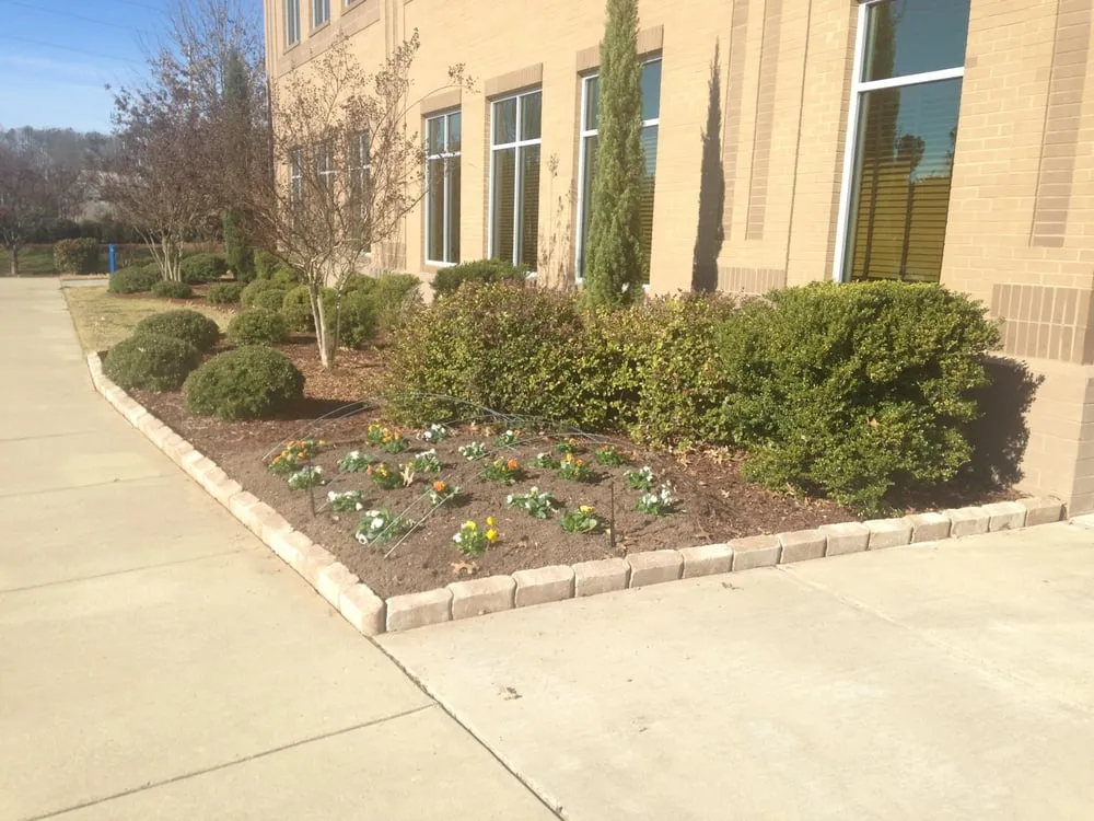 Trusted yard cleanup service in Youngsville, NC by Stripes Landscaping and Maintenance