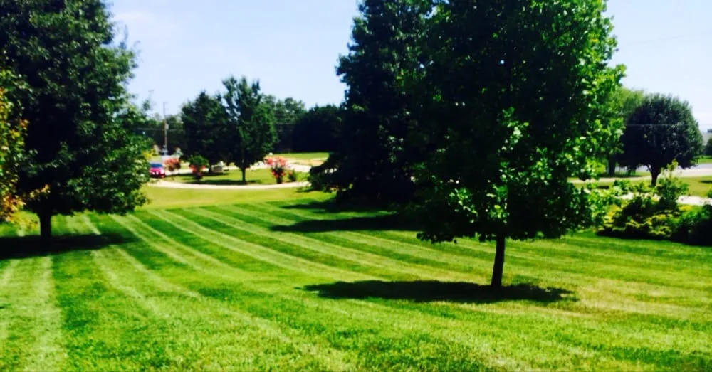Custom lawn mowing service in Youngsville, NC by Stripes Landscaping and Maintenance