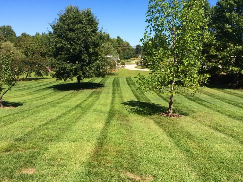 Trusted landscape design in Youngsville, NC by Stripes Landscaping and Maintenance