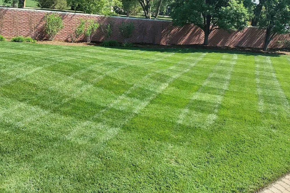 Top-rated landscape installation experts serving Olathe, KS - Stripes Lawn Care