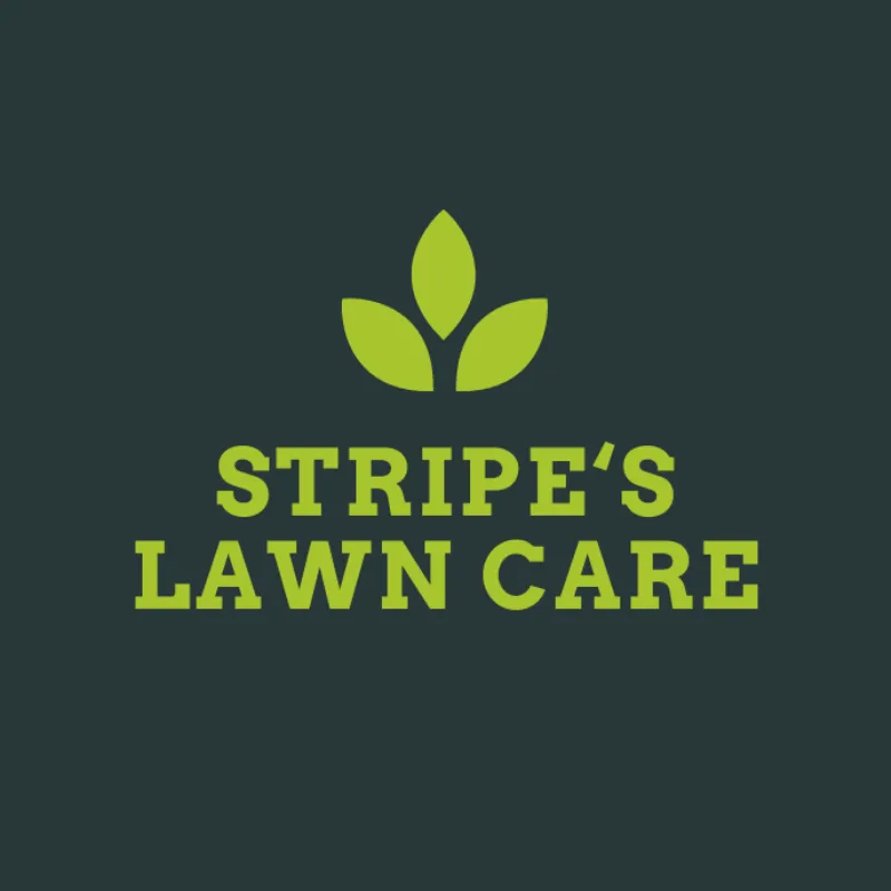 Professional landscaping services for homes in Overland Park, KS by Stripe’s Lawn Care