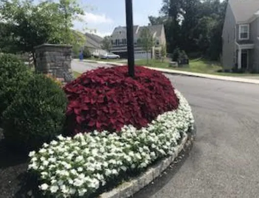 Custom yard cleanup service for residential properties across Souderton, PA - Stripes Lawn Care