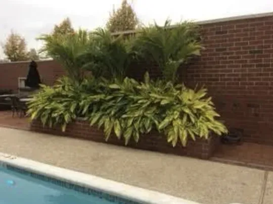 Reliable landscaping services experts serving Souderton, PA - Stripes Lawn Care