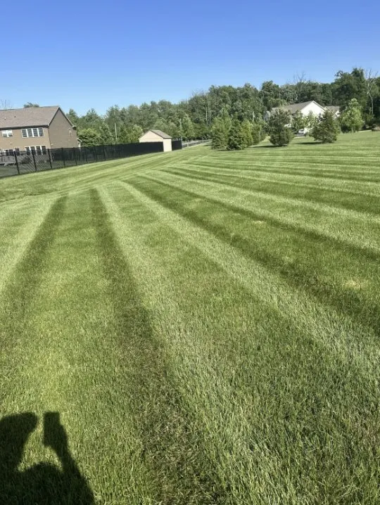 Affordable yard cleanup service near you in Souderton, PA by Stripes Lawn Care