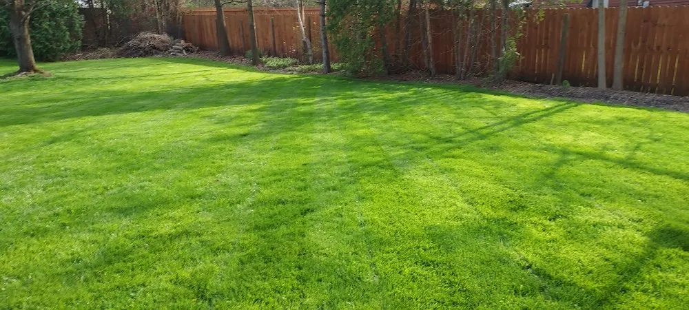 Local yard cleanup service in Stow, OH - Stripes Lawn Care