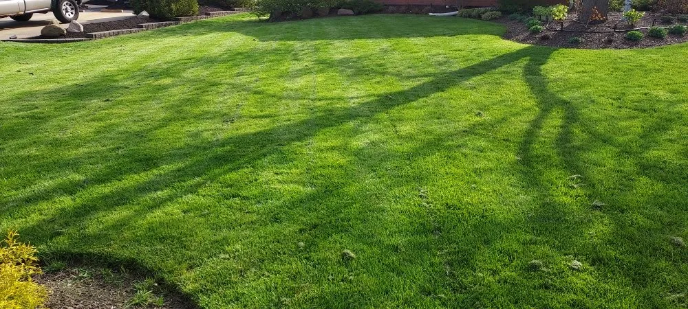 Affordable residential landscaping for beautiful yards across Stow, OH - Stripes Lawn Care