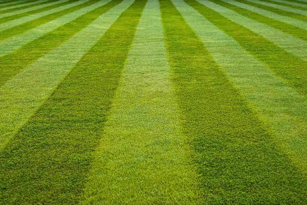 Stripes Lawn Care Logo