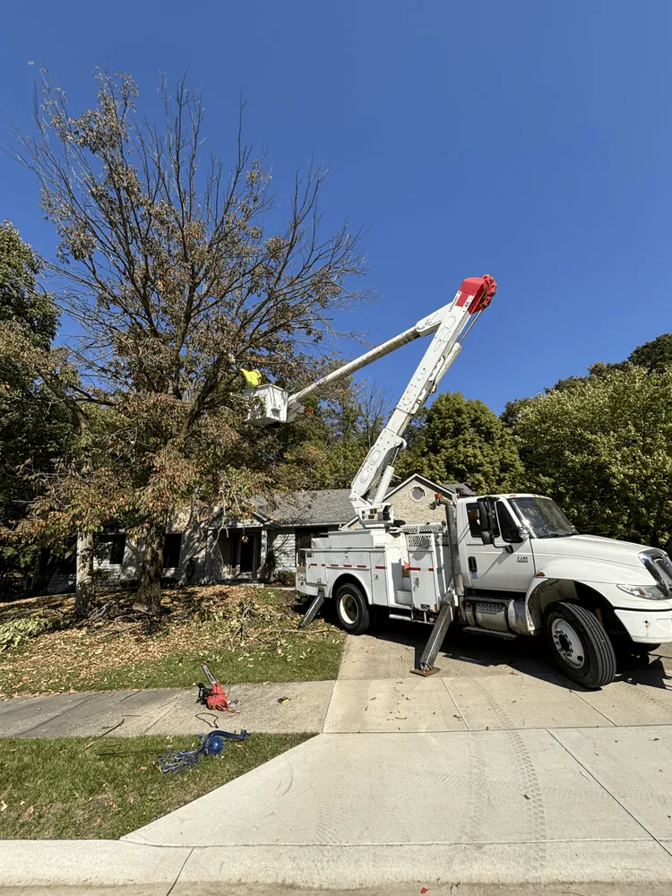 Reliable landscaping services experts serving Fort Wayne, IN - Stripes Lawn Services