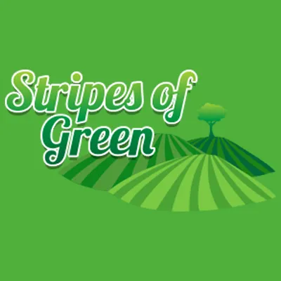 Top-rated lawn mowing service in Fleetwood, PA - Stripes Of Green