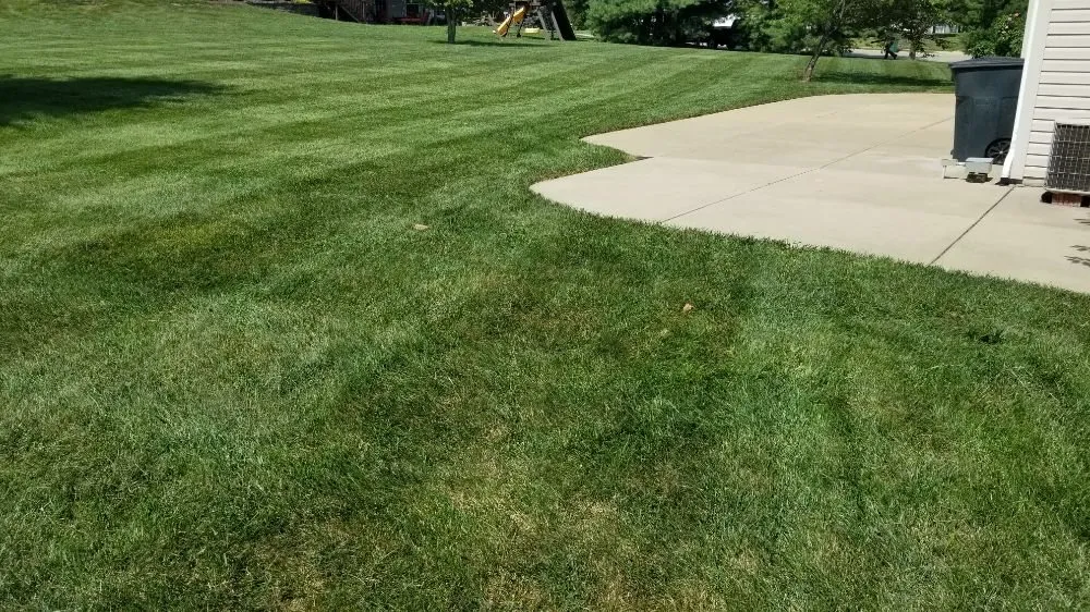 Reliable yard cleanup service for homes in Ofallon, IL by Stripes Outdoors