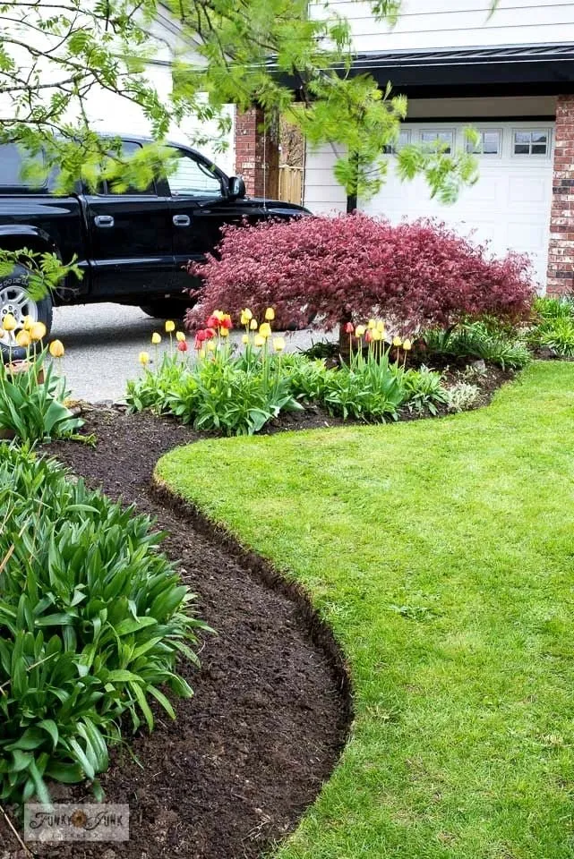 Professional yard cleanup service with custom design across Victor, MT - Stripez Lawn Care
