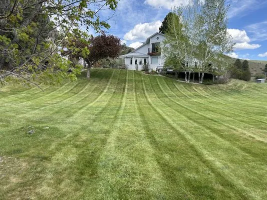Stripez Lawn Care Logo