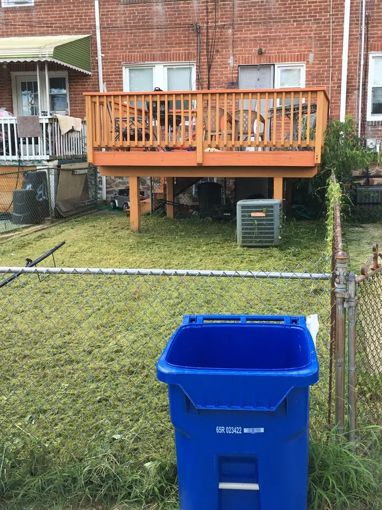 Expert yard cleanup service for year-round maintenance in Parkville, MD by STRIVE UNTIL REVENUE FORM