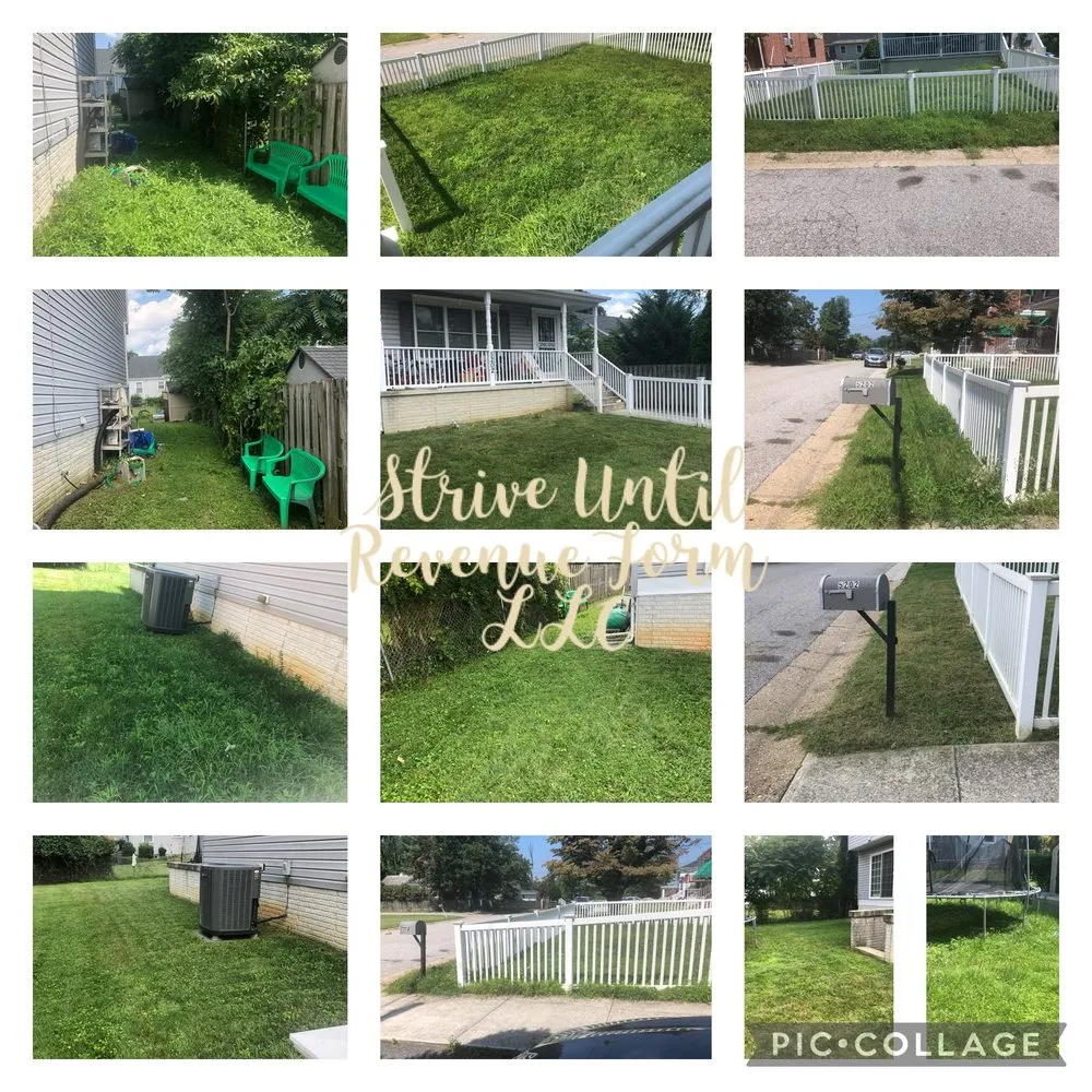 Professional yard cleanup service for year-round maintenance across Parkville, MD - STRIVE UNTIL REVENUE FORM