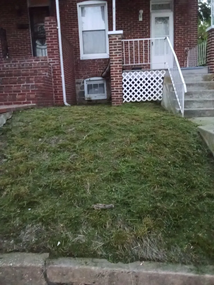 Local landscape design experts serving Parkville, MD - STRIVE UNTIL REVENUE FORM