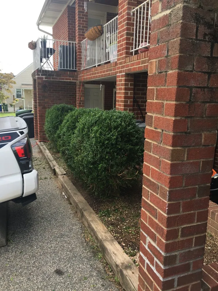 Expert landscaping services for residential properties across Parkville, MD - STRIVE UNTIL REVENUE FORM