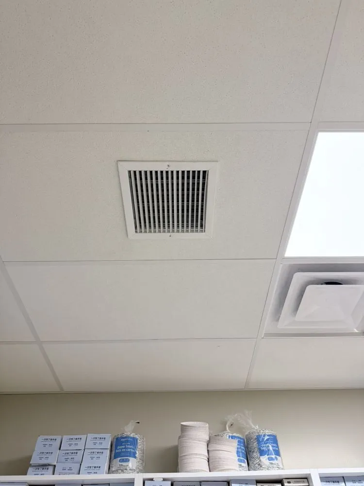 Expert yard cleanup service in Columbia, PA - Striver Chimney Sweep