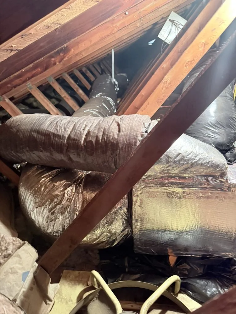 Professional landscape installation for beautiful yards across Columbia, PA - Striver Chimney Sweep