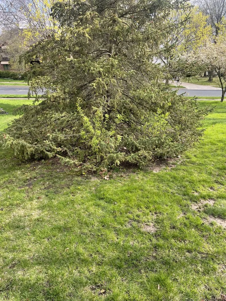 Reliable garden landscaping in Poynette, WI - Stroede’s Landscaping and Mowing