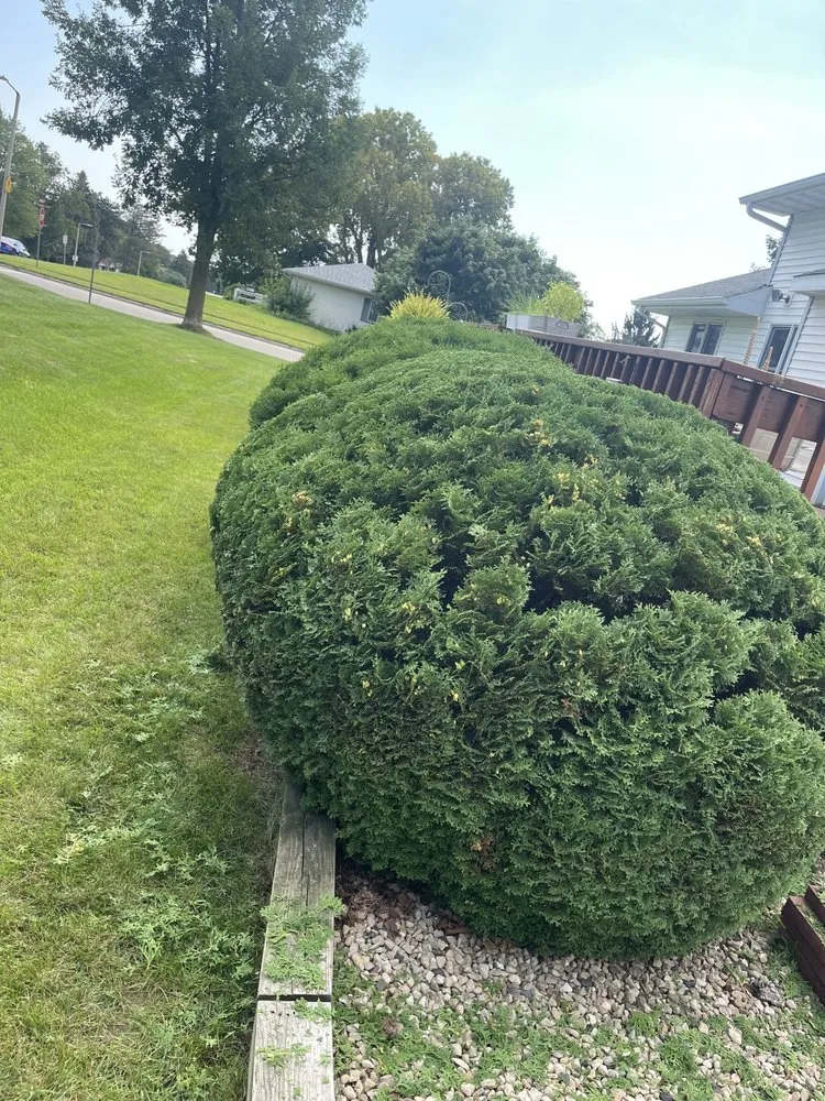 Affordable lawn mowing service in Poynette, WI by Stroede’s Landscaping and Mowing