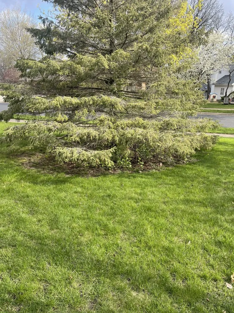Affordable garden landscaping near you across Poynette, WI - Stroede’s Landscaping and Mowing