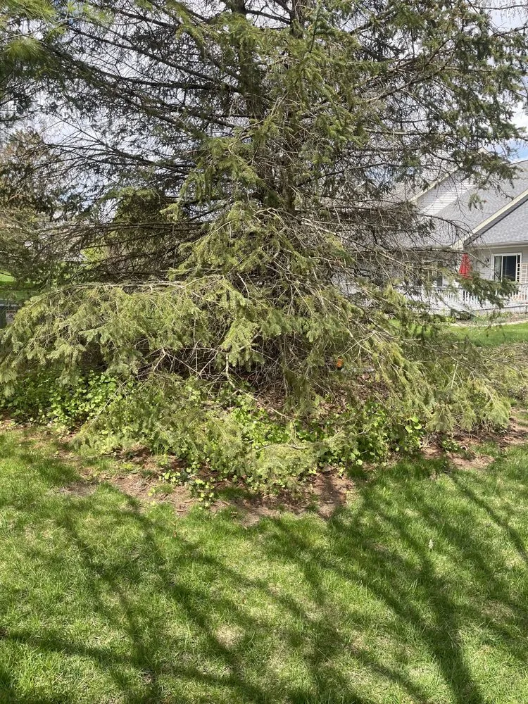 Local lawn mowing service for beautiful yards across Poynette, WI - Stroede’s Landscaping and Mowing