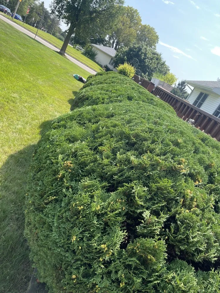 Local garden landscaping for beautiful yards across Poynette, WI - Stroede’s Landscaping and Mowing
