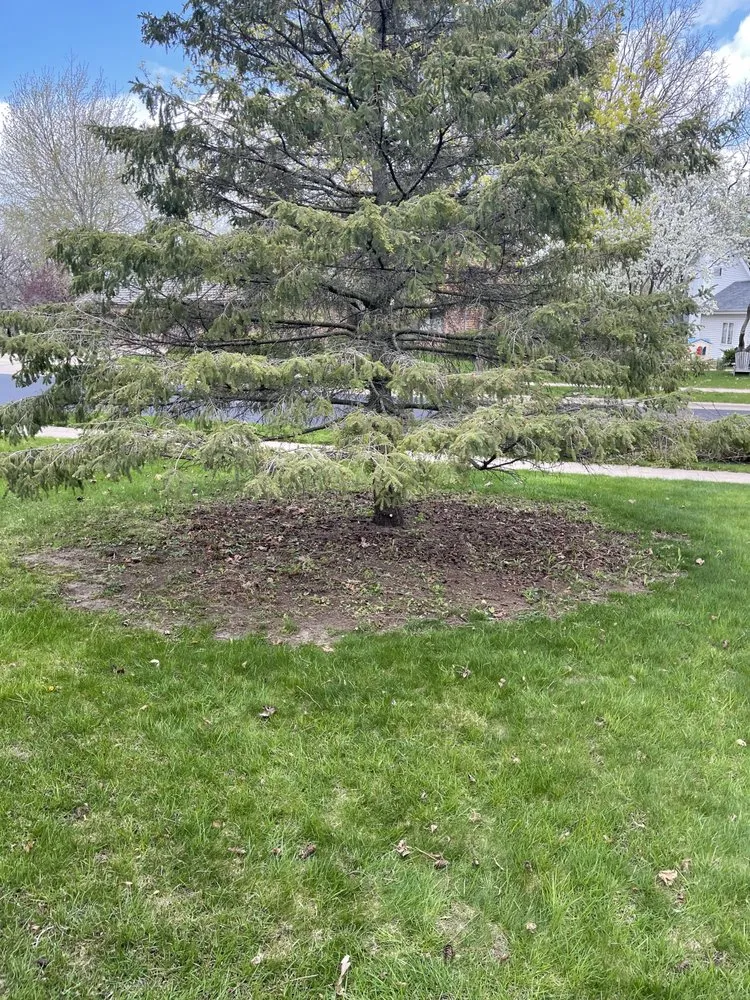Affordable landscaping services in Poynette, WI by Stroede’s Landscaping and Mowing