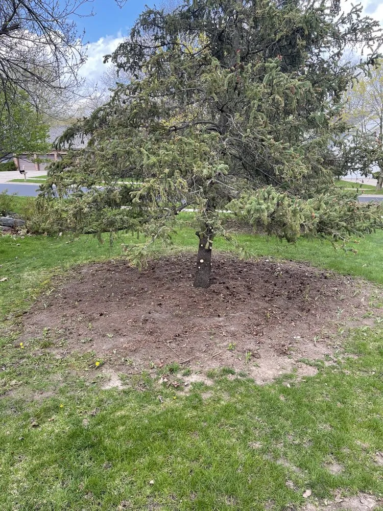 Reliable residential landscaping in Poynette, WI by Stroede’s Landscaping and Mowing