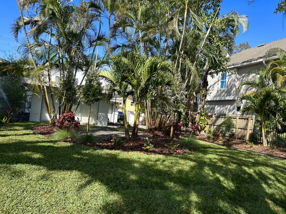 Local yard cleanup service experts serving St. Petersburg, FL - Strohl Landscape & Design