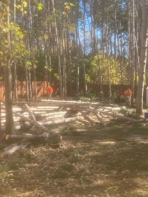 Custom landscaping services with custom design in Cedar, MN by Strong & Sons Total Tree Service