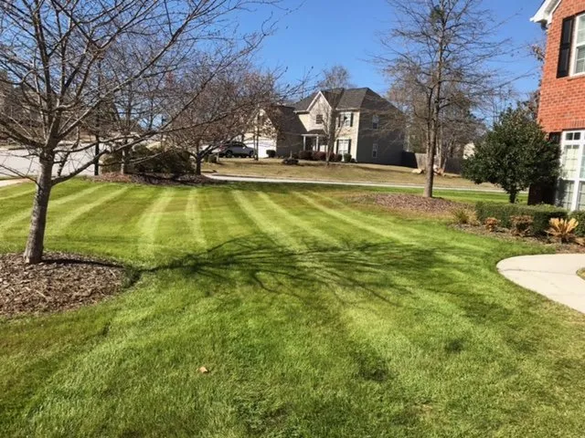 Top-rated residential landscaping for beautiful yards across Loganville, GA - Strong Arm Landscaping