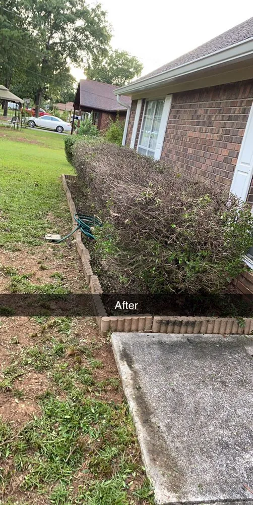 Local landscape installation for outdoor upgrades across Rome, GA - Strong Arm Lawncare