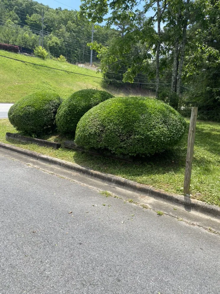 Local garden landscaping experts serving Rome, GA - Strong Arm Lawncare