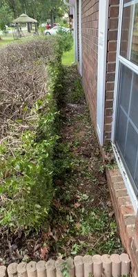 Strong Arm Lawncare Logo