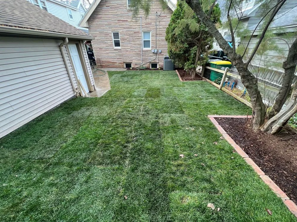 Expert lawn care service in Wauwatosa, WI by Strong Arm Services
