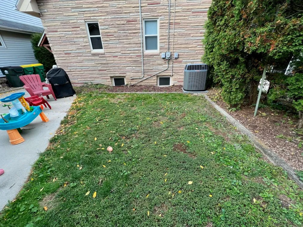 Affordable landscaping services for residential properties in Wauwatosa, WI by Strong Arm Services