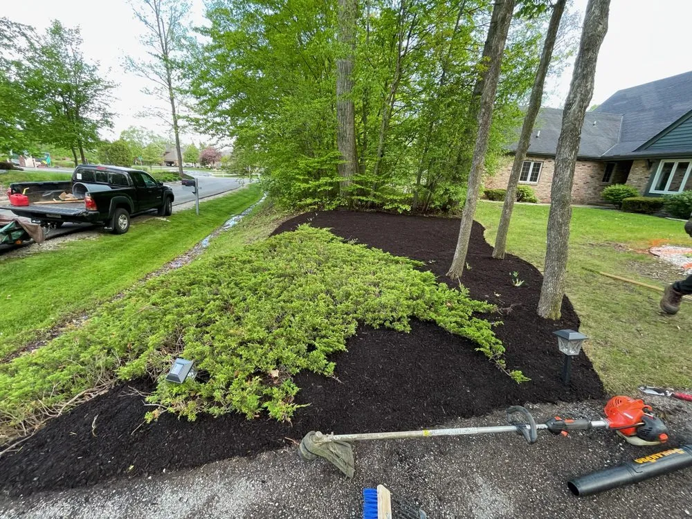 Top-rated lawn care service for outdoor upgrades across Wauwatosa, WI - Strong Arm Services