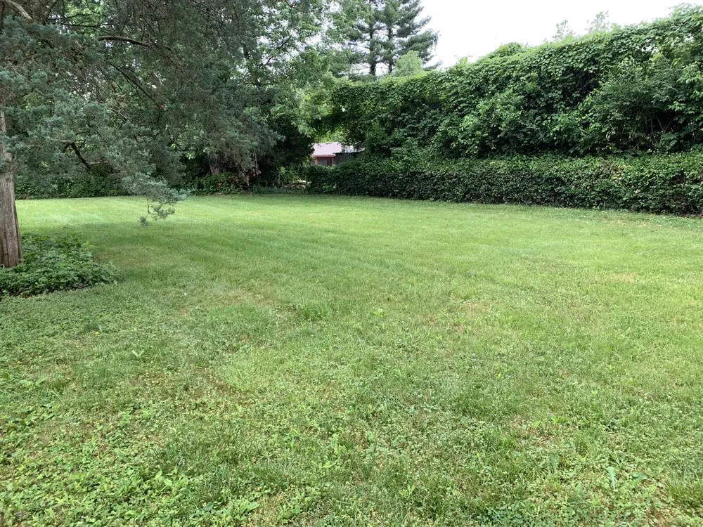 Custom yard maintenance for year-round maintenance across Indianapolis, IN - Strong Hands Services Lawn Care & Removal Enterprise