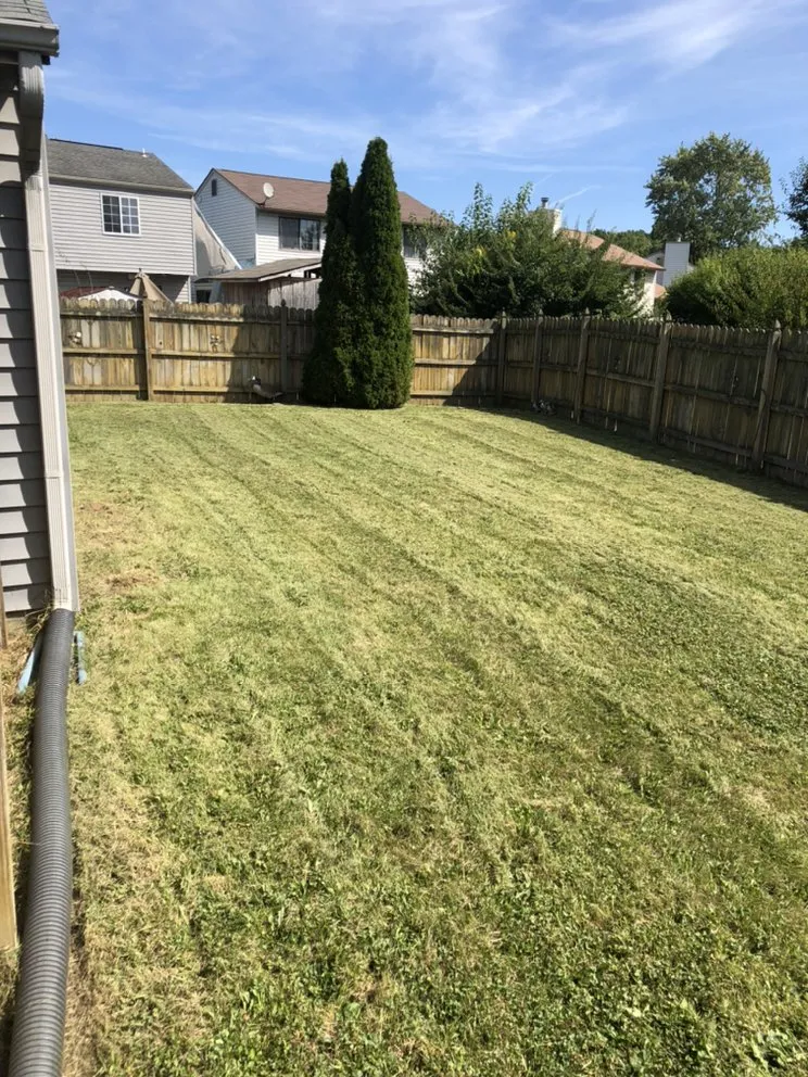 Professional yard cleanup service experts serving Indianapolis, IN - Strong Hands Services Lawn Care & Removal Enterprise