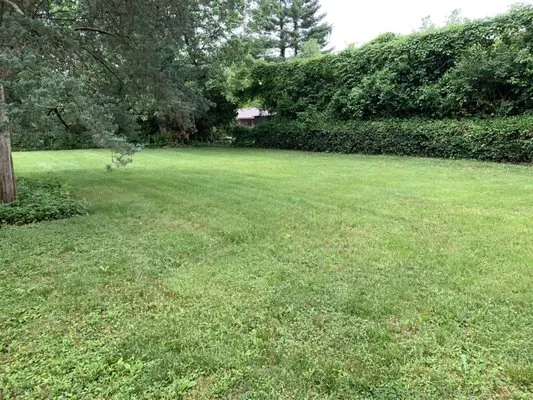 Strong Hands Services Lawn Care & Removal Enterprise Logo