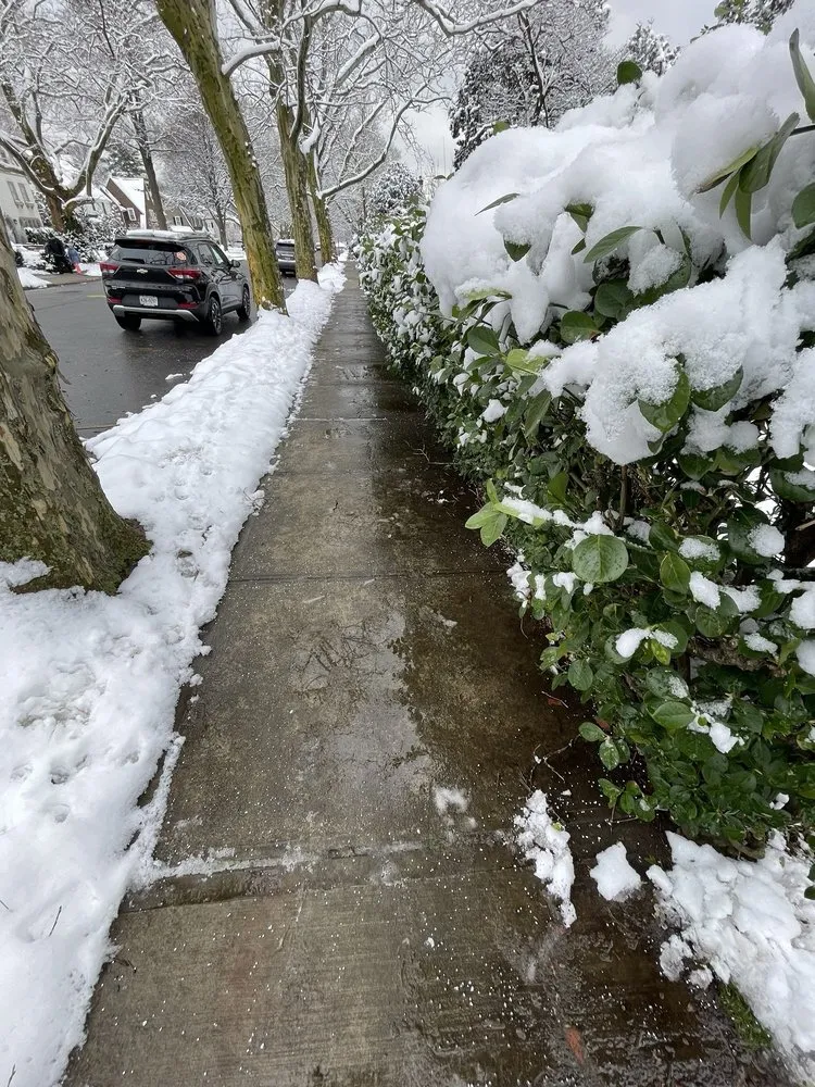 Top-rated lawn mowing service experts serving West Hempstead, NY - Strong Island Property Services