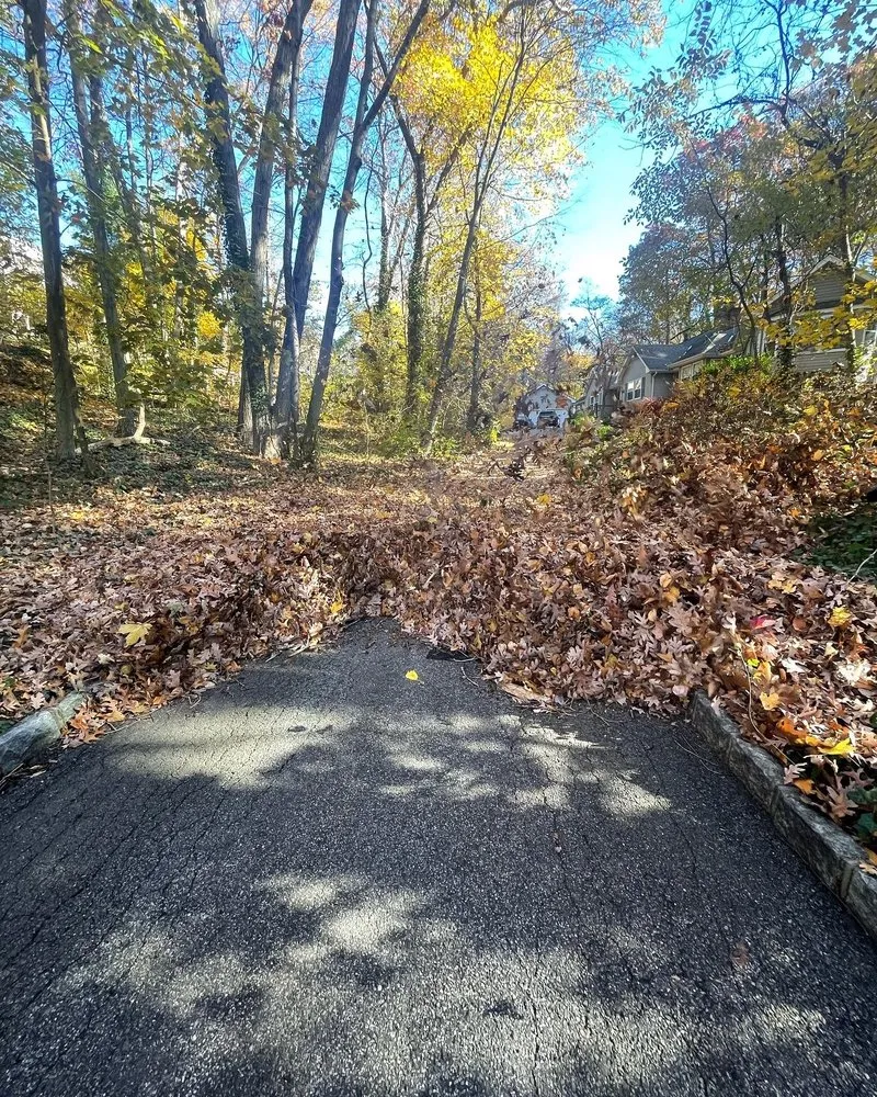 Top-rated yard maintenance for year-round maintenance in West Hempstead, NY by Strong Island Property Services