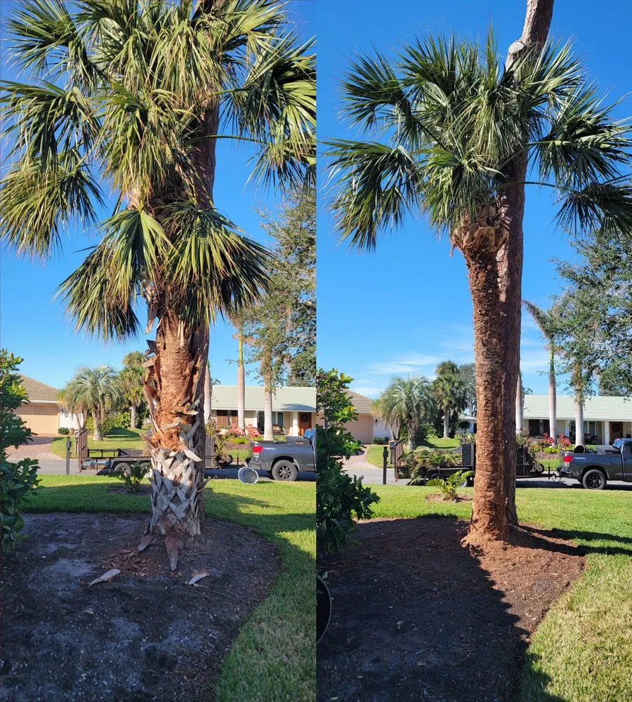 Professional lawn mowing service with custom design in Sarasota, FL by Strong Landscape & Pressure Wash