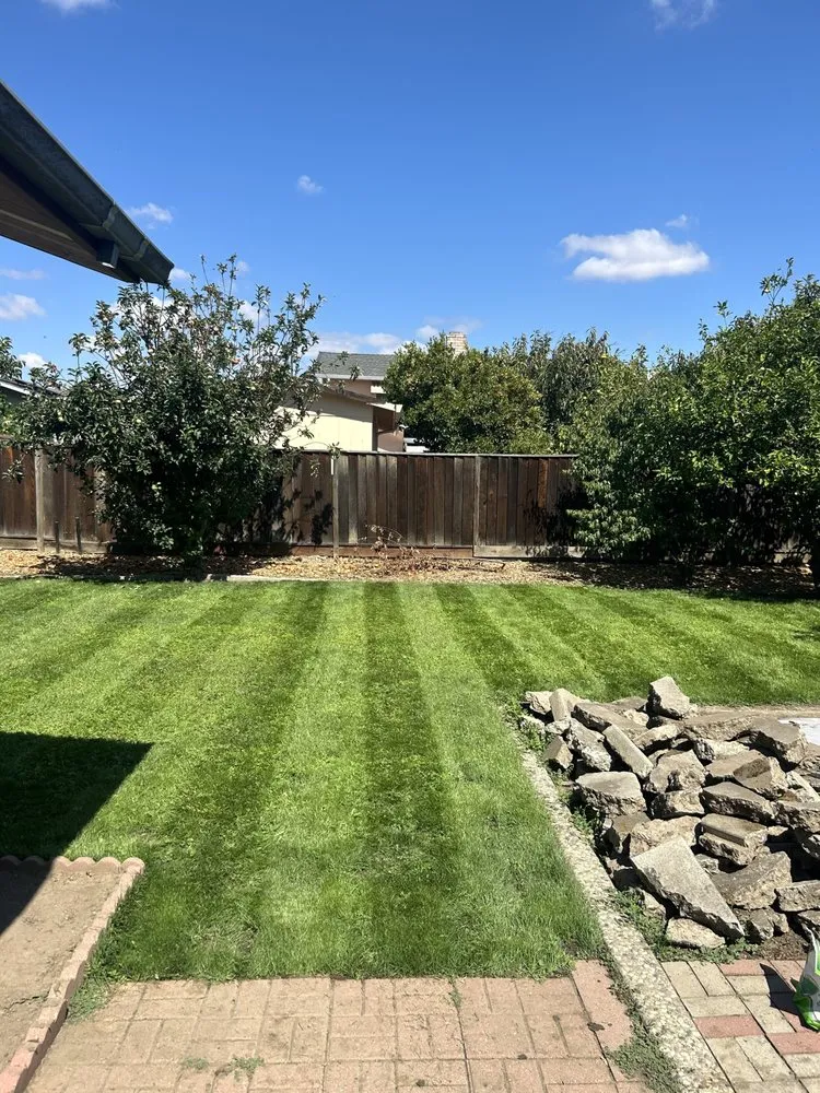 Professional yard maintenance experts serving San Jose, CA - Strong Landscaping & Design