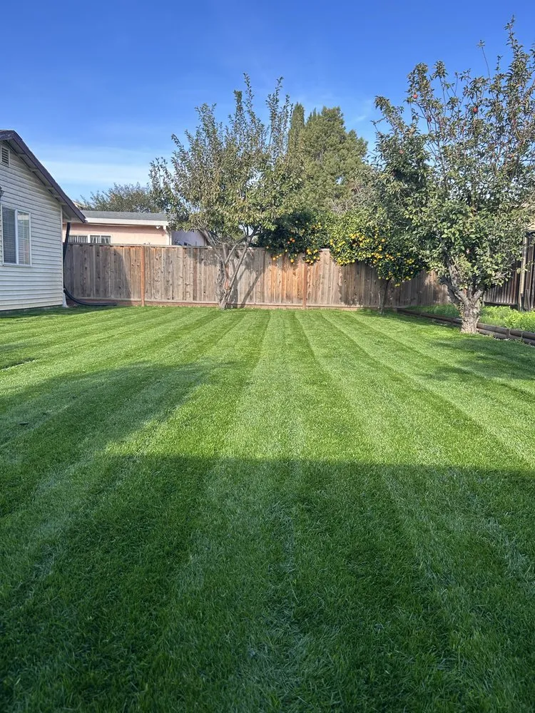 Expert garden landscaping in San Jose, CA - Strong Landscaping & Design